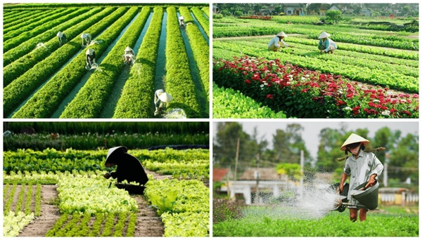 Hoi An itinerary